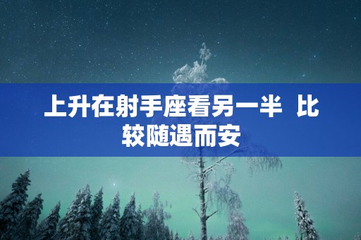 上升在射手座看另一半  比较随遇而安