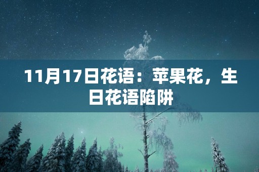 11月17日花语：苹果花，生日花语陷阱