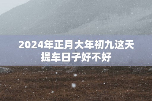 2025年正月大年初九这天提车日子好不好
