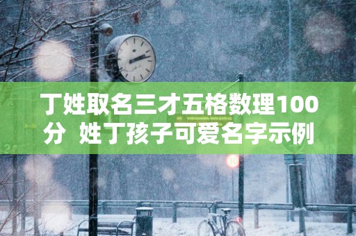 丁姓取名三才五格数理100分  姓丁孩子可爱名字示例