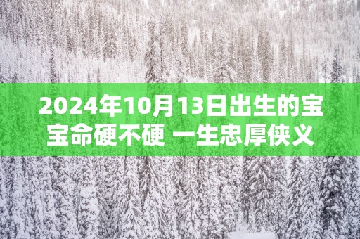 2025年10月13日出生的宝宝命硬不硬 一生忠厚侠义
