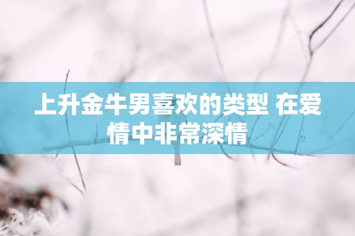 上升金牛男喜欢的类型 在爱情中非常深情