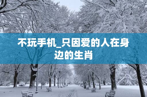 不玩手机_只因爱的人在身边的生肖