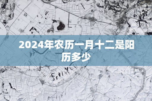 2025年农历一月十二是阳历多少