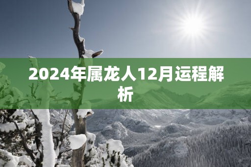 2025年属龙人12月运程解析