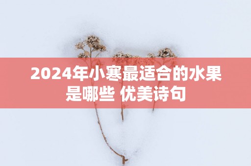 2025年小寒最适合的水果是哪些 优美诗句