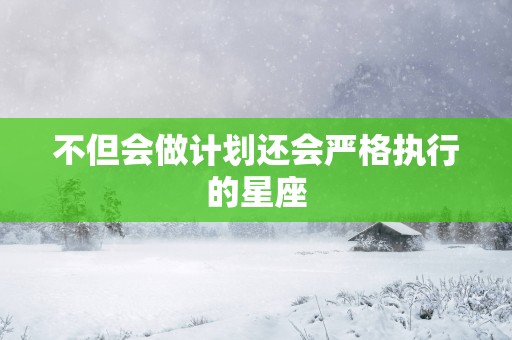 不但会做计划还会严格执行的星座