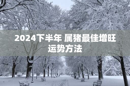 2025下半年 属猪最佳增旺运势方法