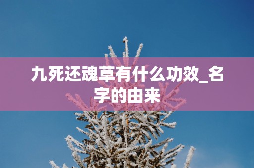 九死还魂草有什么功效_名字的由来