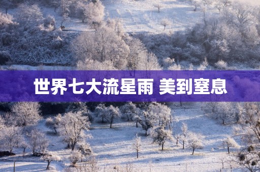 世界七大流星雨 美到窒息