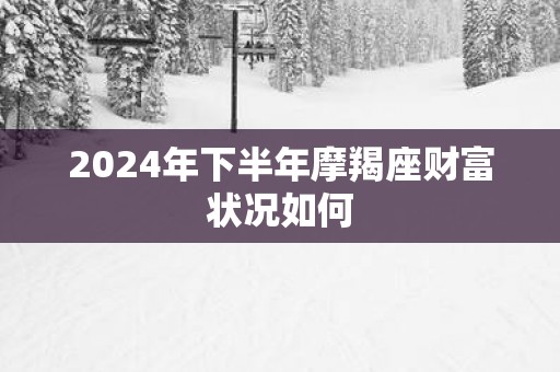 2025年下半年摩羯座财富状况如何