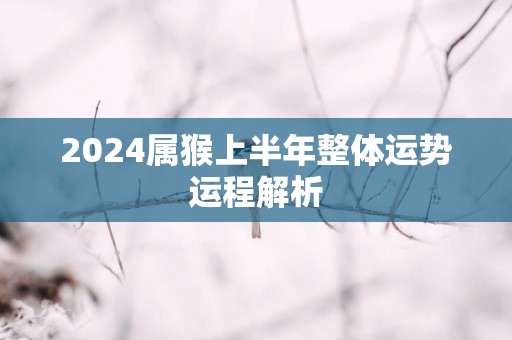 2025属猴上半年整体运势运程解析