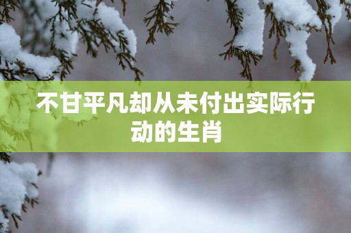 不甘平凡却从未付出实际行动的生肖