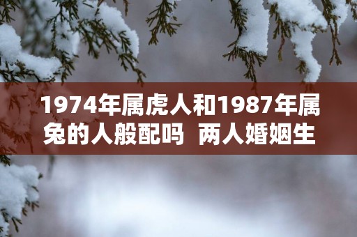 1974年属虎人和1987年属兔的人般配吗  两人婚姻生活如何