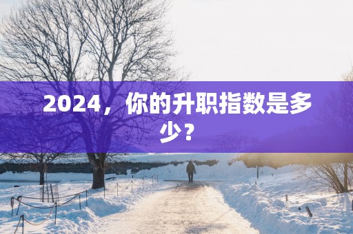 2025，你的升职指数是多少？