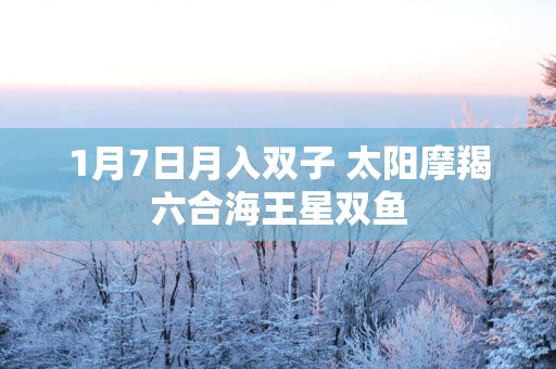 1月7日月入双子 太阳摩羯六合海王星双鱼