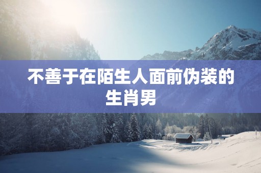 不善于在陌生人面前伪装的生肖男