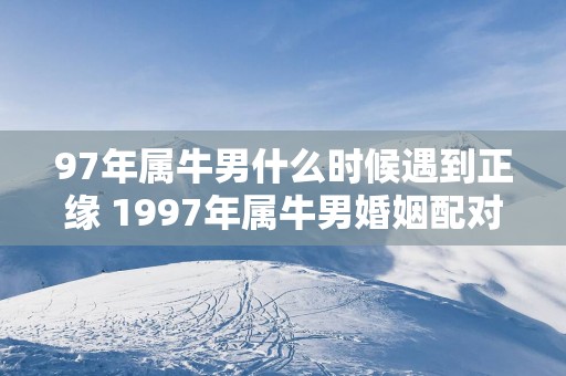 97年属牛男什么时候遇到正缘 1997年属牛男婚姻配对