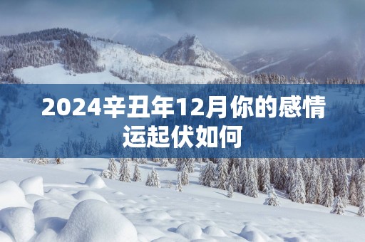 2025辛丑年12月你的感情运起伏如何