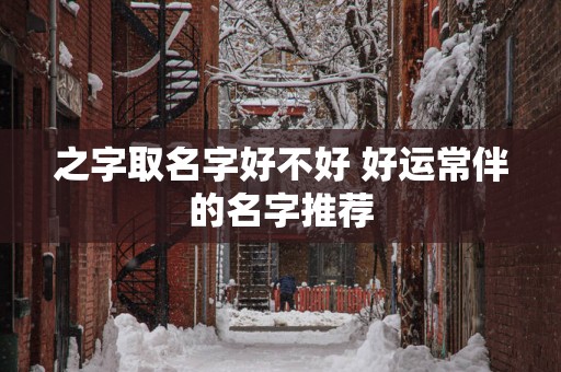 之字取名字好不好 好运常伴的名字推荐