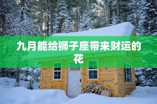 九月能给狮子座带来财运的花