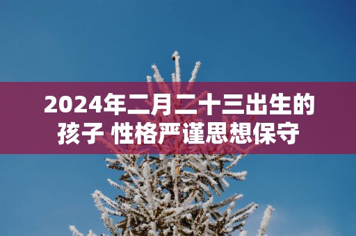 2025年二月二十三出生的孩子 性格严谨思想保守