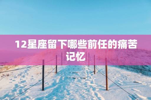 12星座留下哪些前任的痛苦记忆