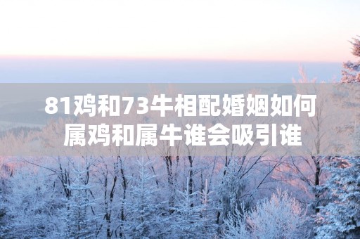81鸡和73牛相配婚姻如何 属鸡和属牛谁会吸引谁
