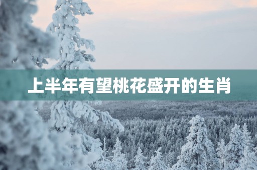 上半年有望桃花盛开的生肖