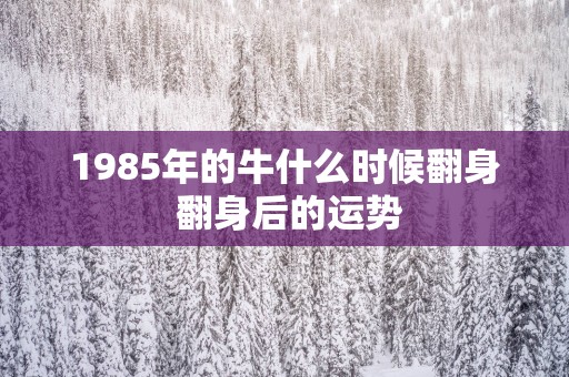 1985年的牛什么时候翻身 翻身后的运势