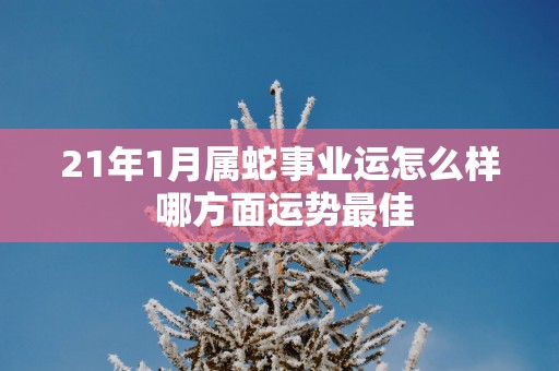 21年1月属蛇事业运怎么样 哪方面运势最佳