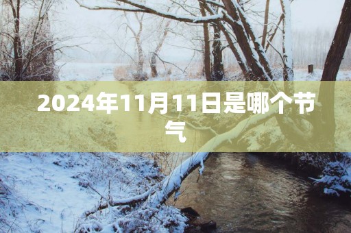 2025年11月11日是哪个节气