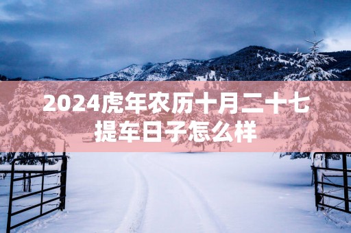 2025蛇年农历十月二十七提车日子怎么样
