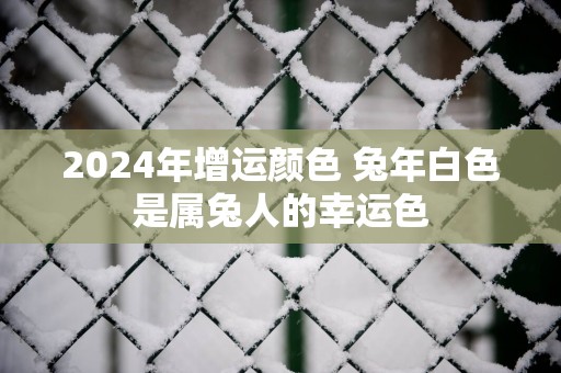 2024年增运颜色 兔年白色是属兔人的幸运色