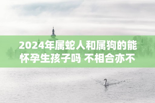 2024年属蛇人和属狗的能怀孕生孩子吗 不相合亦不相克