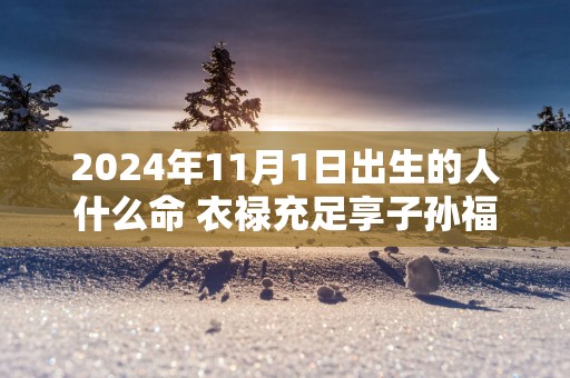 2024年11月1日出生的人什么命 衣禄充足享子孙福