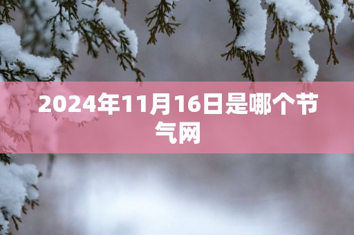 2025年11月16日是哪个节气网