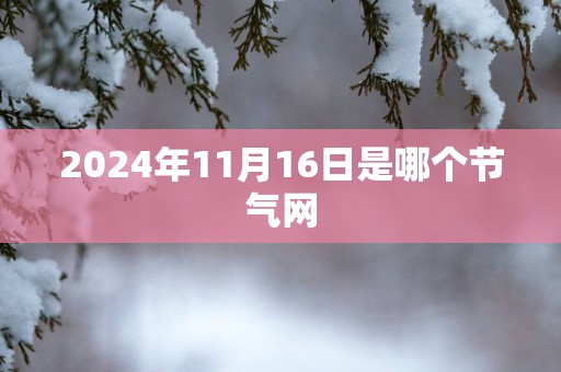 2024年11月16日是哪个节气网