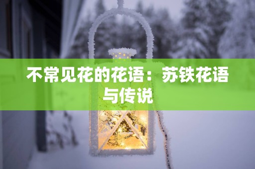 不常见花的花语：苏铁花语与传说
