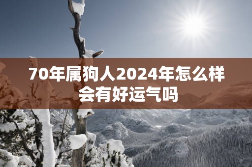 70年属狗人2025年怎么样 会有好运气吗