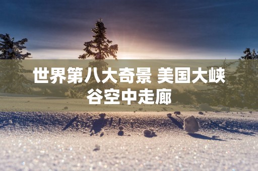 世界第八大奇景 美国大峡谷空中走廊