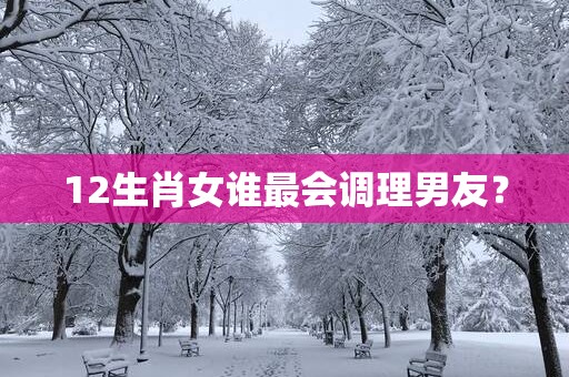 12生肖女谁最会调理男友？