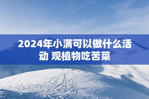2025年小满可以做什么活动 观植物吃苦菜