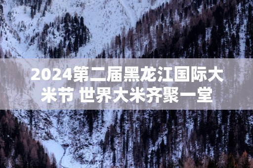 2025第二届黑龙江国际大米节 世界大米齐聚一堂