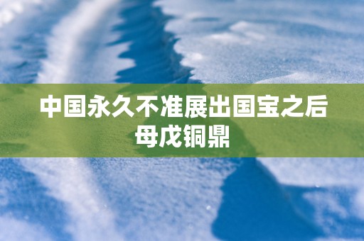 中国永久不准展出国宝之后母戊铜鼎