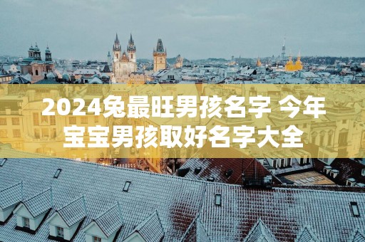 2025兔最旺男孩名字 今年宝宝男孩取好名字大全