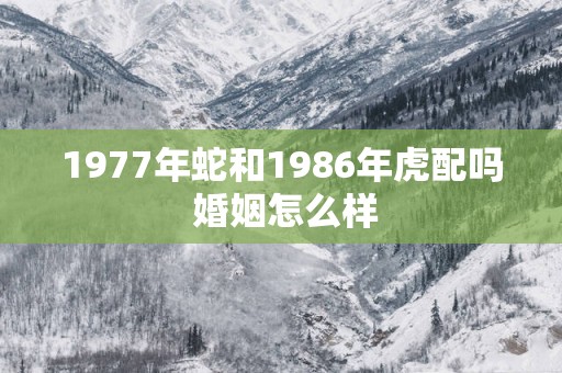 1977年蛇和1986年虎配吗 婚姻怎么样