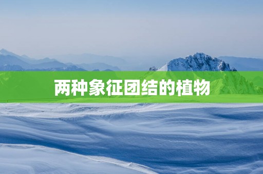 两种象征团结的植物