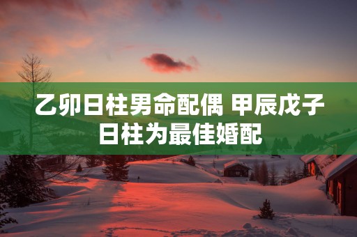 乙卯日柱男命配偶 甲辰戊子日柱为最佳婚配
