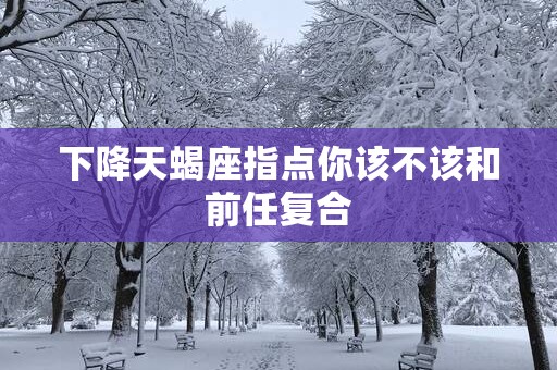 下降天蝎座指点你该不该和前任复合